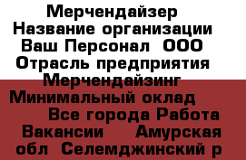 Мерчендайзер › Название организации ­ Ваш Персонал, ООО › Отрасль предприятия ­ Мерчендайзинг › Минимальный оклад ­ 17 000 - Все города Работа » Вакансии   . Амурская обл.,Селемджинский р-н